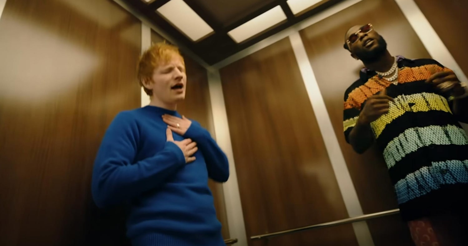 The Melanin Longevity Protocol